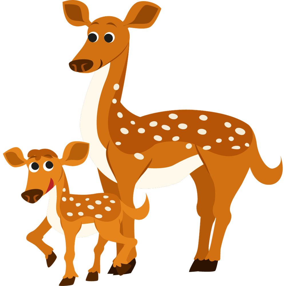 Deer